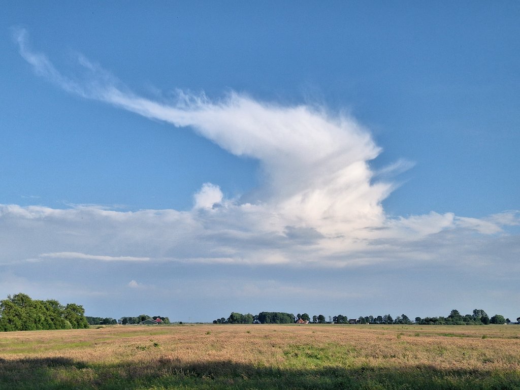 klaaswillemb's tweet photo. Mooi zicht op de zware bui boven #Zwolle vanaf zuid-Friesland (foto rond 19:00 genomen). Morgen weer een dynamische weerdag ! #cumulonimbus #weatherupdate #landscapephotography #easterskar #clouds #naturelove https://t.co/zQ94LH7f5D