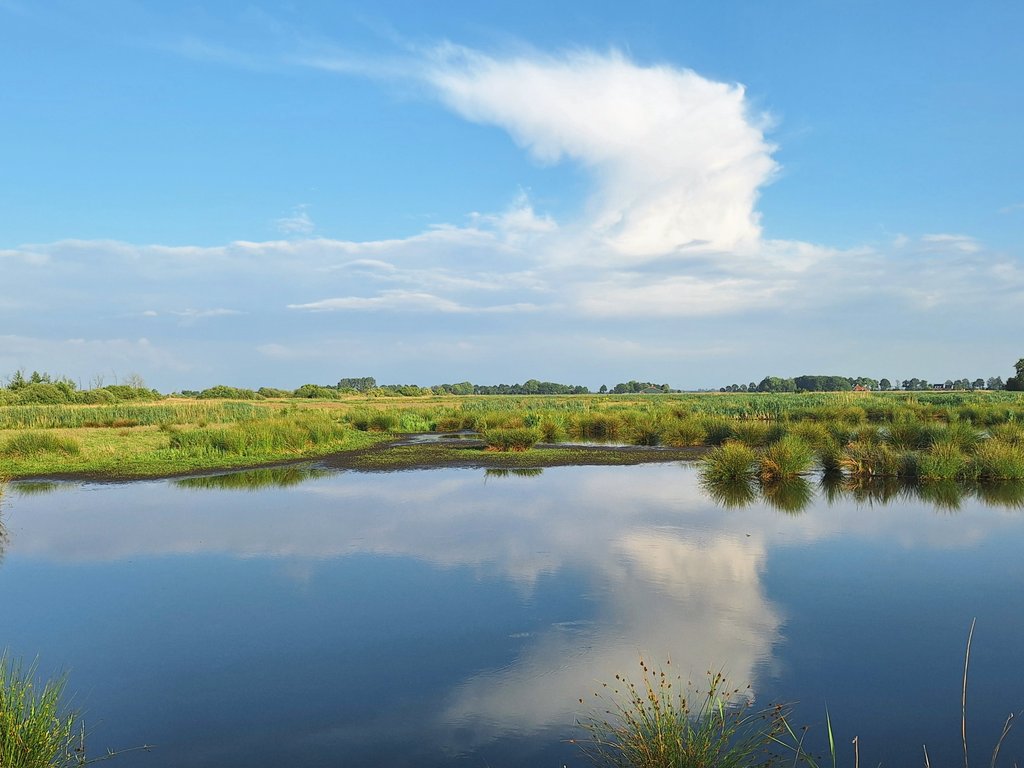 klaaswillemb's tweet photo. Mooi zicht op de zware bui boven #Zwolle vanaf zuid-Friesland (foto rond 19:00 genomen). Morgen weer een dynamische weerdag ! #cumulonimbus #weatherupdate #landscapephotography #easterskar #clouds #naturelove https://t.co/zQ94LH7f5D