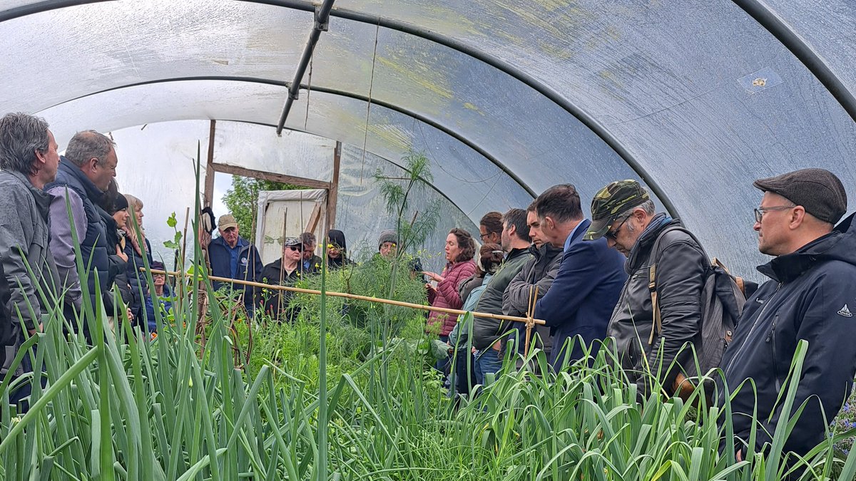 Kerry Social Farming tweet media