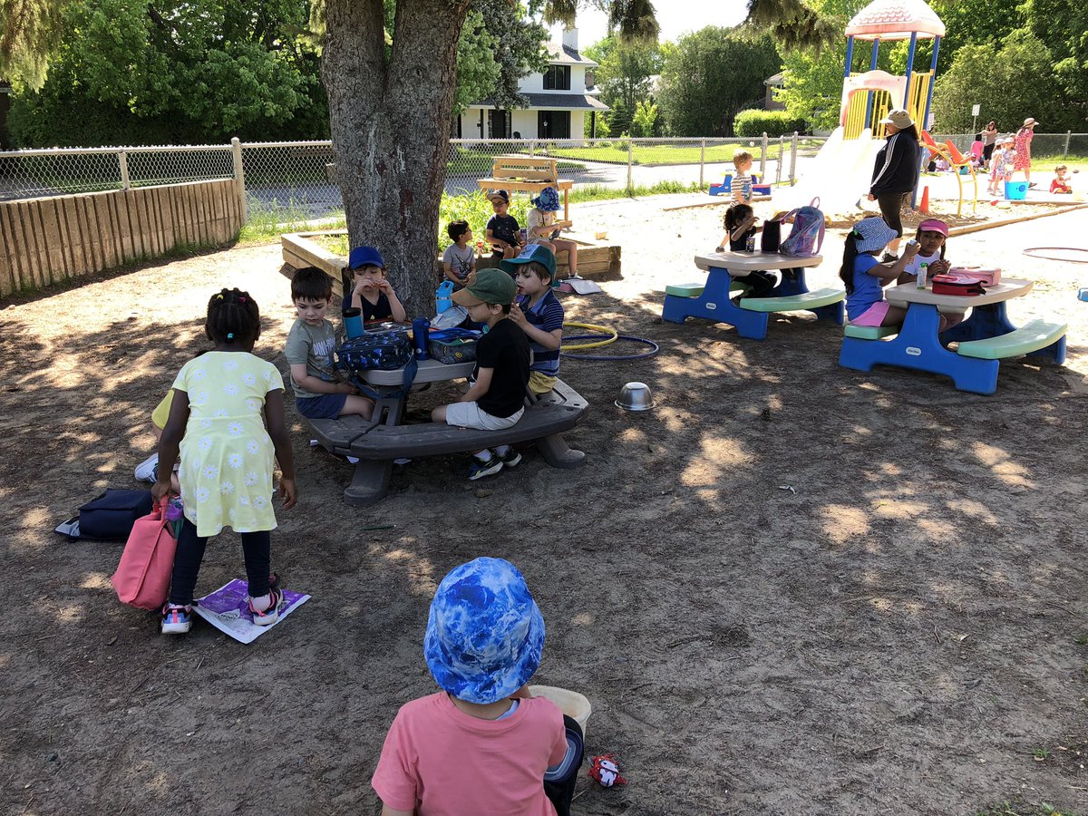 SJA Owls (@sjaowls) on Twitter photo We added many turtles to our pond on world turtle day. Les papillons volent dans le ciel. We were excited to see a dragonfly outside too, before our picnic snack. <a href="/JohnApostleOCSB/">St. John the Apostle School</a> #ocsbOutdoors We added many turtles to our pond on world turtle day. Les papillons volent dans le ciel. We were excited to see a dragonfly outside too, before our picnic snack. <a href="/JohnApostleOCSB/">St. John the Apostle School</a> #ocsbOutdoors