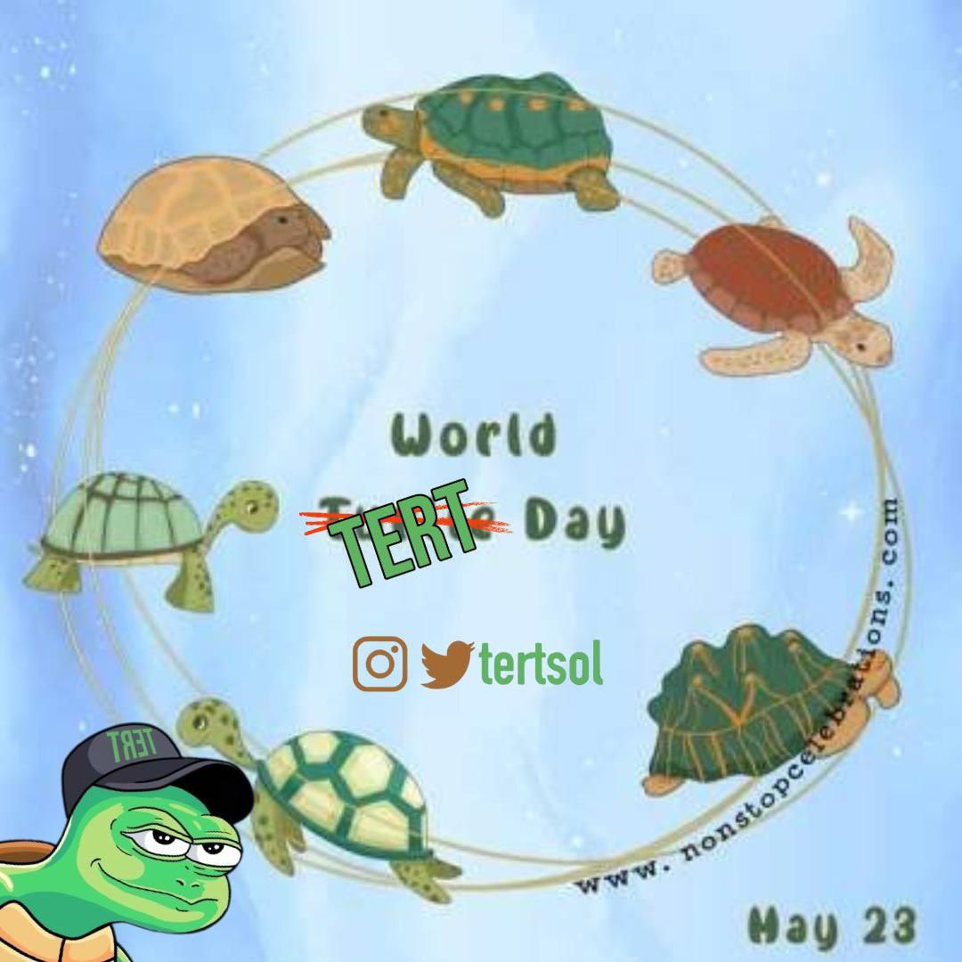 Lolachapters's tweet photo. @TertSol Great day for turtle day 🚀🚀🚀 https://t.co/tevFRdLYHO