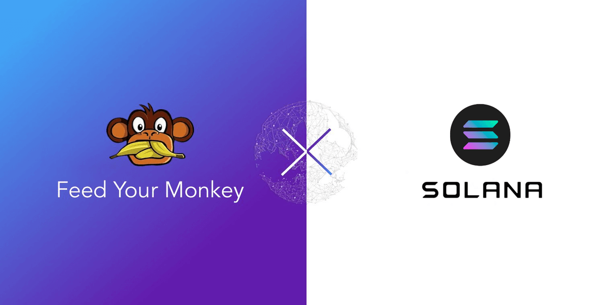 feedurmonkey's tweet image. Exciting news! 🚀 $BANANA and @feedurmonkey are now live on @solana and @RaydiumProtocol . Dive in and explore the action at feedyourmonkey.today

#theshowgoeson #gamefi $SOL