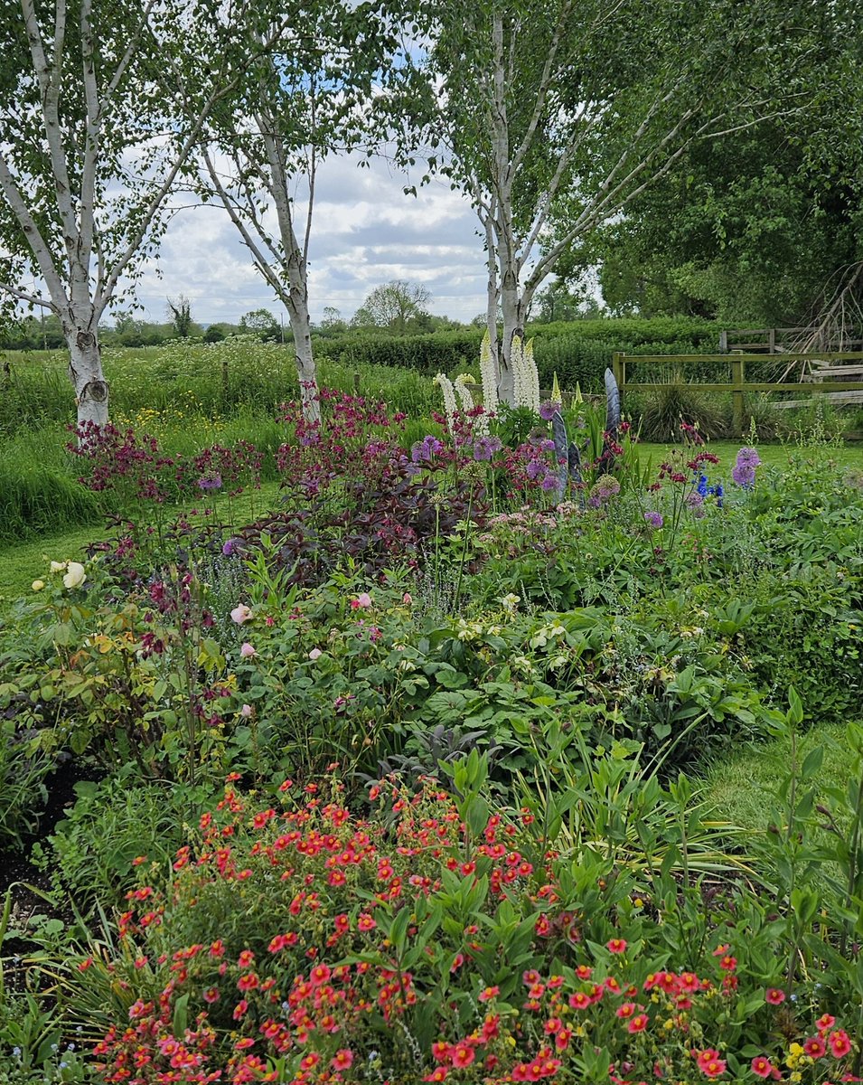 A better day at the office, compared to yesterday! #GardeningTwitter #rain #gardening #gregthegardener