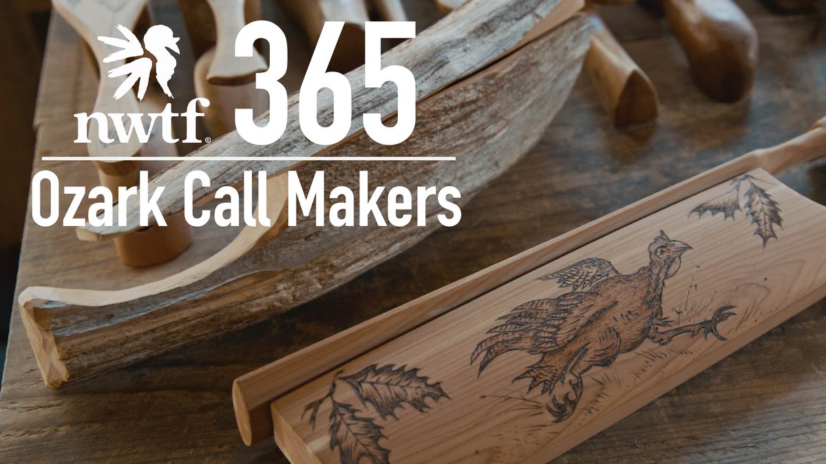 Don't miss the latest episode of NWTF 365! We're in the Missouri Ozarks, talking with David Ferguson about the rich turkey call making heritage of the region. Watch the full episode 👇 youtu.be/s1zRwqmOkKc