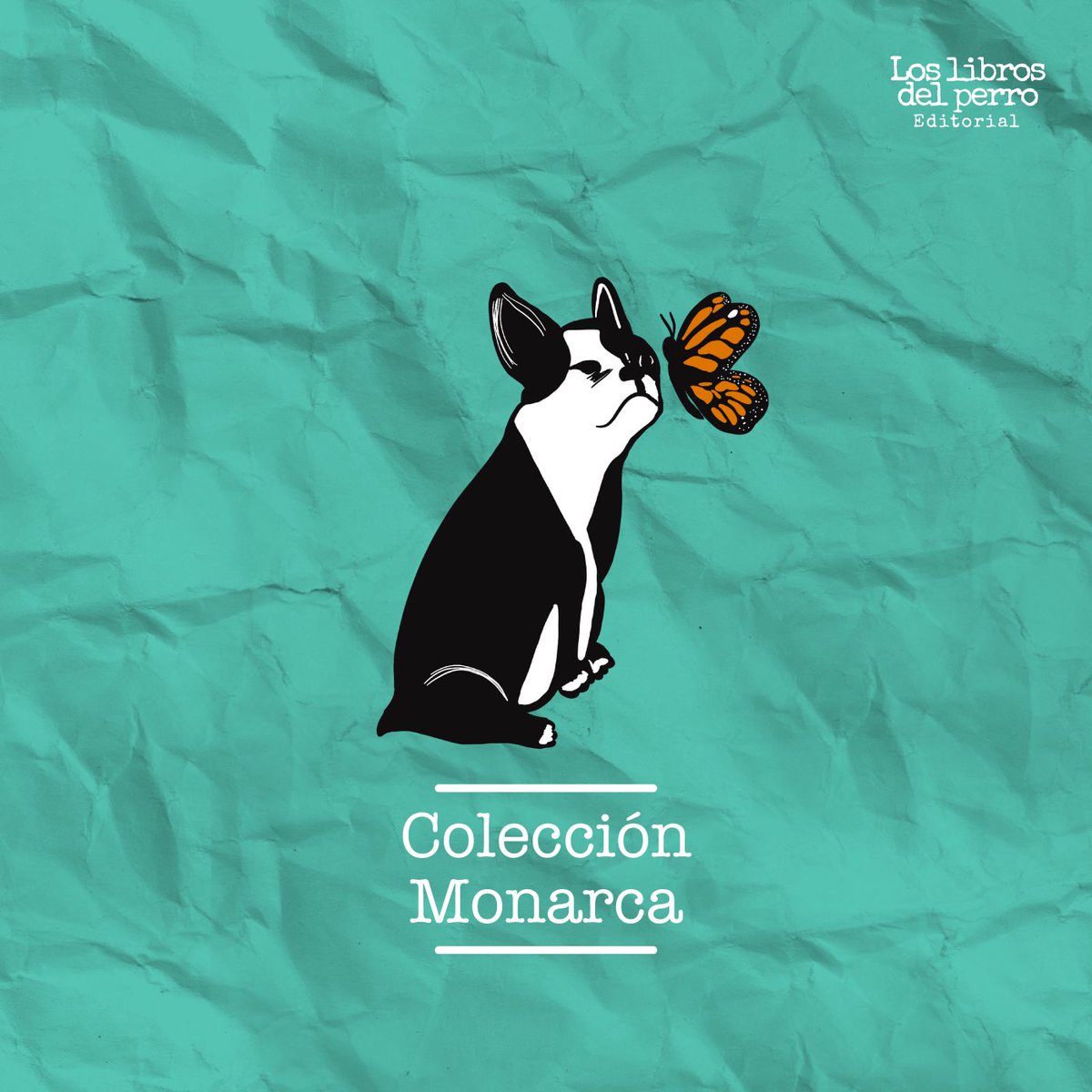 librosdelperro's tweet photo. Nos complace anunciar nuestra nueva colección "Monarca", encaminada a visibilizar libros de nuevas voces mexicanas.

¡Esperen noticias!

🦋🦋🦋🦋🦋🦋🦋🦋🦋🦋🦋 https://t.co/fOTOp0TnPr