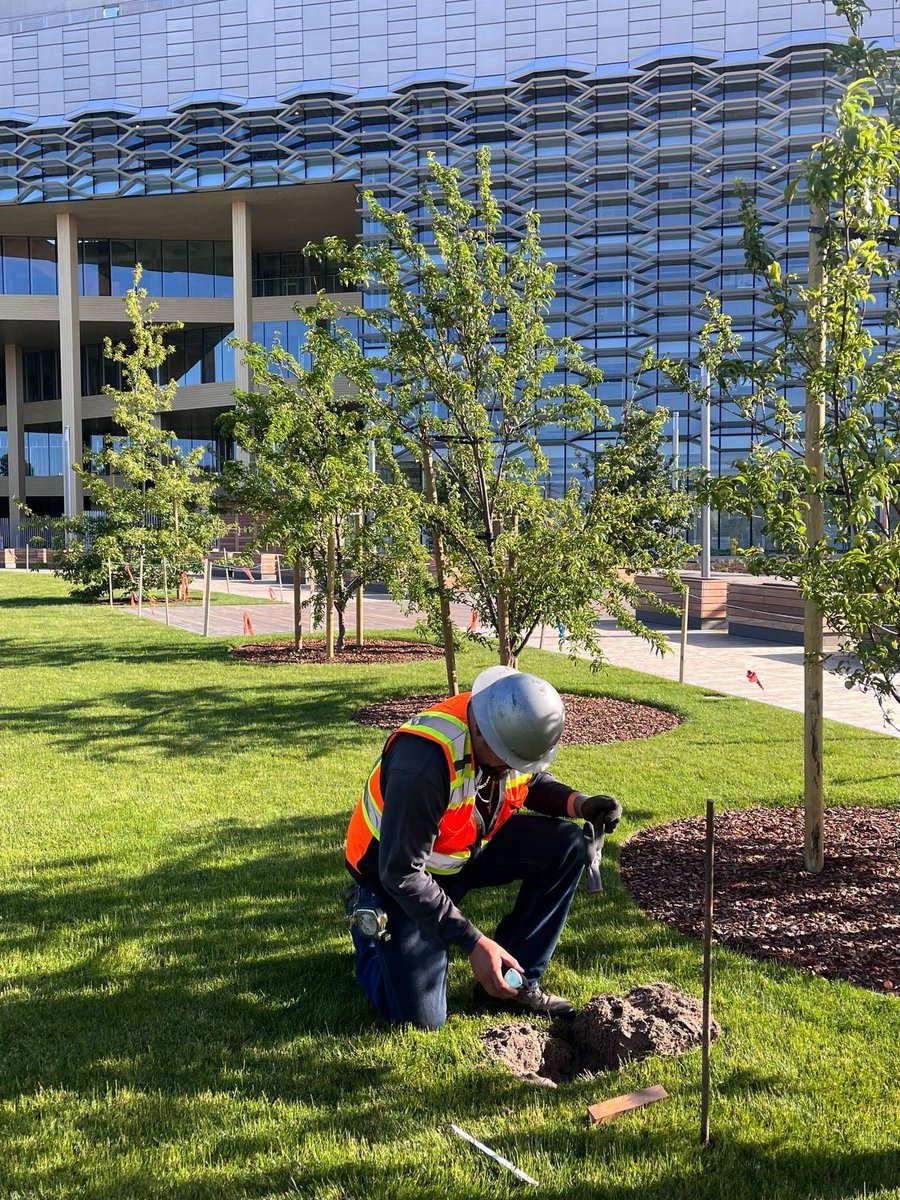 dr.west (@lbizzz) on Twitter photo Installed sensors with <a href="/Its_me_lupita/">Maria B.</a> for landscape and turf at a newly constructed site today. Easily done and instant #spiiodata <a href="/SyngentaGolf/">SyngentaGolf</a> <a href="/SyngentaTurf/">Syngenta Turf US</a> <a href="/spiio_official/">Spiio</a> Installed sensors with <a href="/Its_me_lupita/">Maria B.</a> for landscape and turf at a newly constructed site today. Easily done and instant #spiiodata <a href="/SyngentaGolf/">SyngentaGolf</a> <a href="/SyngentaTurf/">Syngenta Turf US</a> <a href="/spiio_official/">Spiio</a>