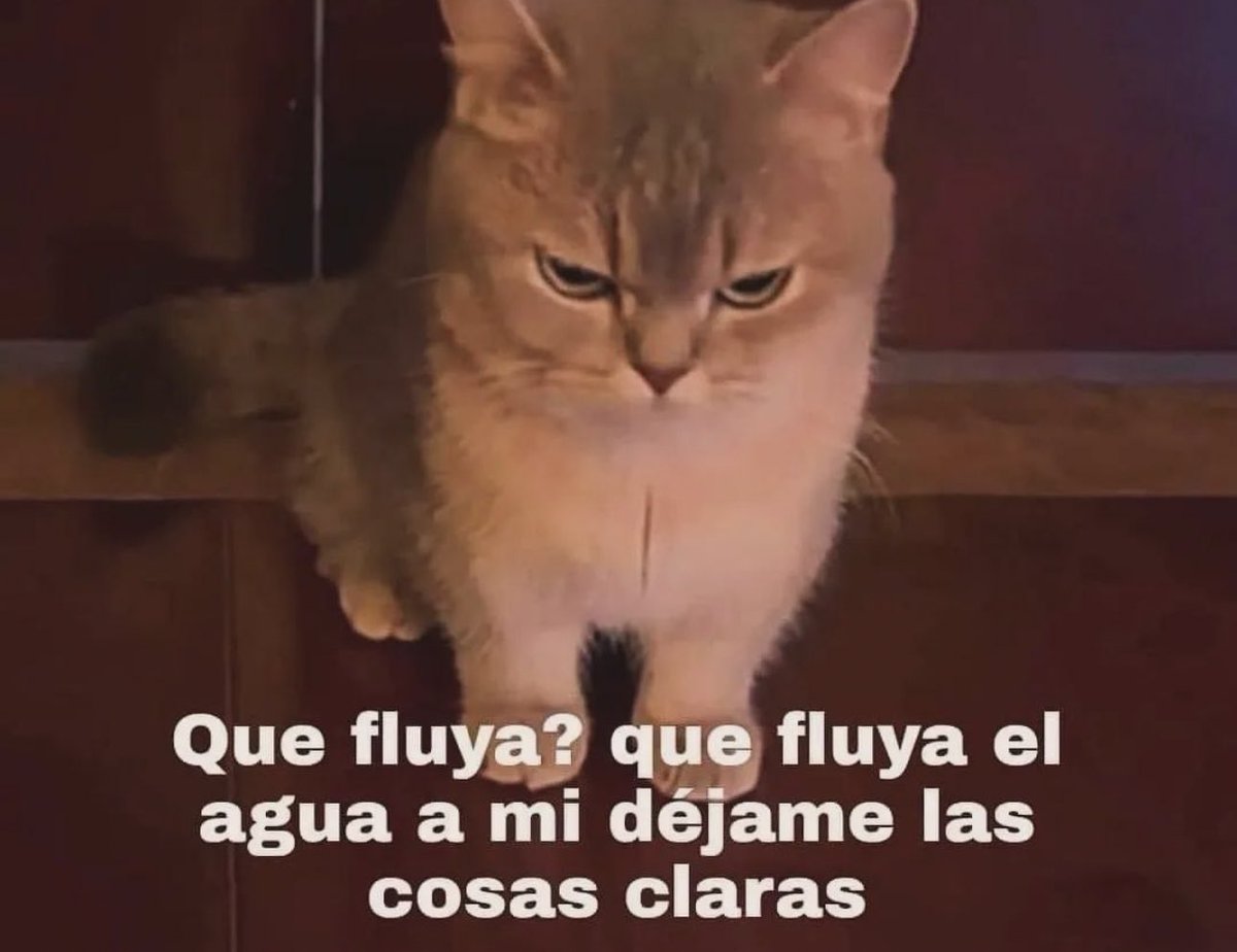 itextosoff's tweet photo. A mi déjame las cosas claras https://t.co/Fb5yroLc21