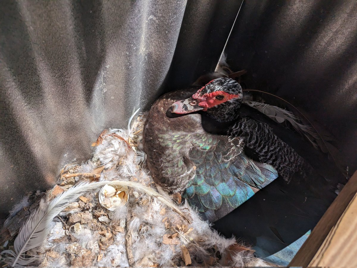 FarmerSpence tweet media