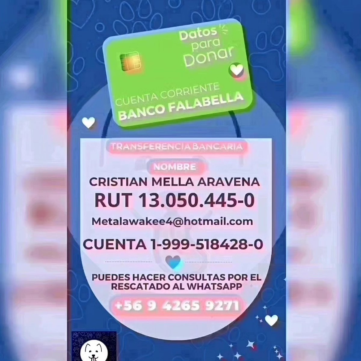 Kristian_Mella's tweet photo. UN GIRO TRISTE Y UNA SUMA COMPLEJA DE RECAUDAR.

$52.920💙 RECAUDADOS + 2 VIDEOS + UN PERRITO SUFIRNEDO Y UNA CIRUGIA QUE SUPERA EL $1.000.000 ES EL CASO DE ESTE PERRITO.

-Consulta y Antibioticos $44.400
-Dia de hospitalización $70.000 (mínimo 8 dias $560.000)
-Radiografoas https://t.co/zN6QJrDsEf