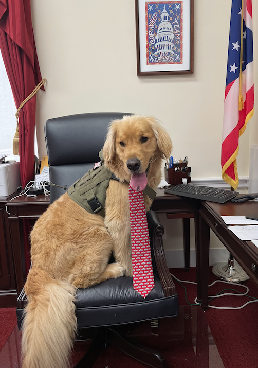 While I was busy on the House floor this afternoon, my Chief Fetch Officer, Sam, made sure to work on important pawlicy at my desk.