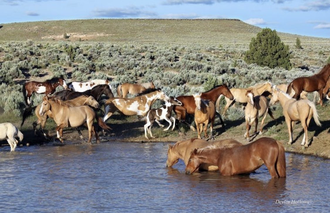 Өглөөний мэнд 2024.05.24
Өрх бүрд инээд хөөртэй эрүүл энх байг