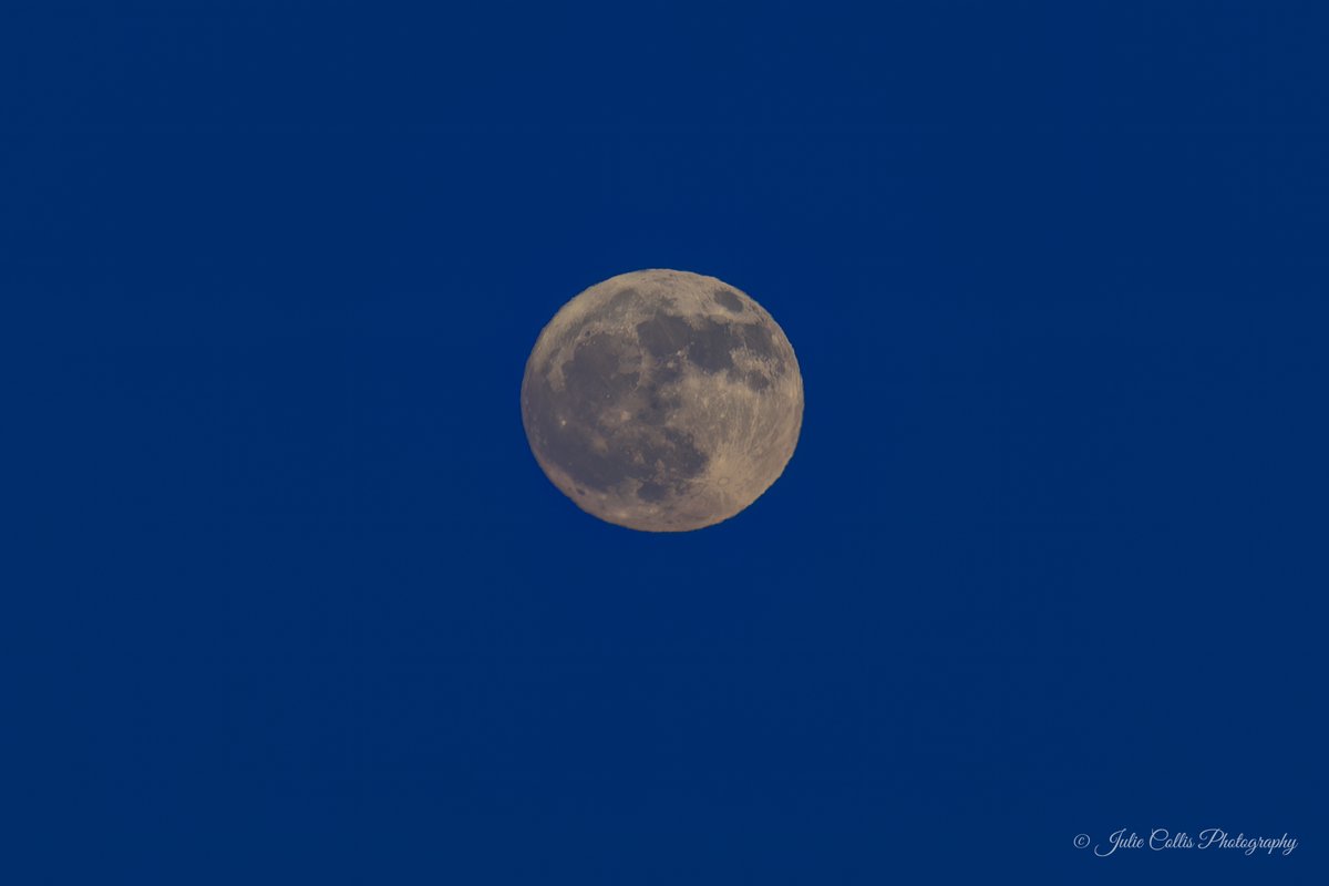 jcollis01's tweet photo. Pretty Sunset followed by Full "Flower" Moon rising over the Strait of Georgia
#CampbellRiver #VancouverIsland #fullmoon #moon #fullmoonrising #flowermoon #scenery #photography #weatherwindow #shareyourweather @ThePhotoHour @GlobalBC @KGordonGlobalBC @CHEK_News @tessvanstraaten https://t.co/mI17xroGE1