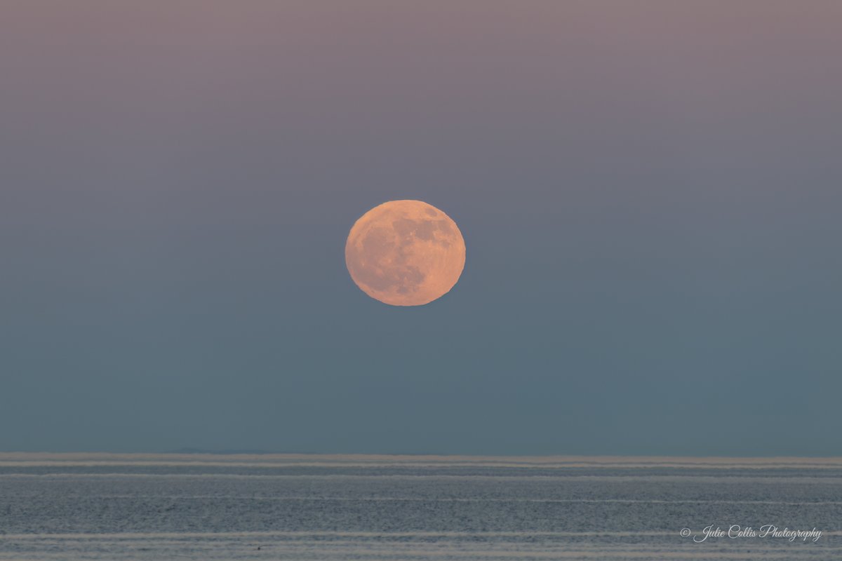 jcollis01's tweet photo. Pretty Sunset followed by Full "Flower" Moon rising over the Strait of Georgia
#CampbellRiver #VancouverIsland #fullmoon #moon #fullmoonrising #flowermoon #scenery #photography #weatherwindow #shareyourweather @ThePhotoHour @GlobalBC @KGordonGlobalBC @CHEK_News @tessvanstraaten https://t.co/mI17xroGE1