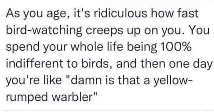 Omg this has happened to me 🤣 anyone else suddenly interested in birds 🤣