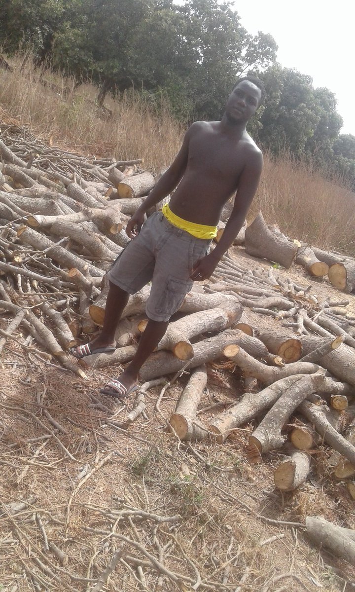 medcham (@medcham844365) on Twitter photo 