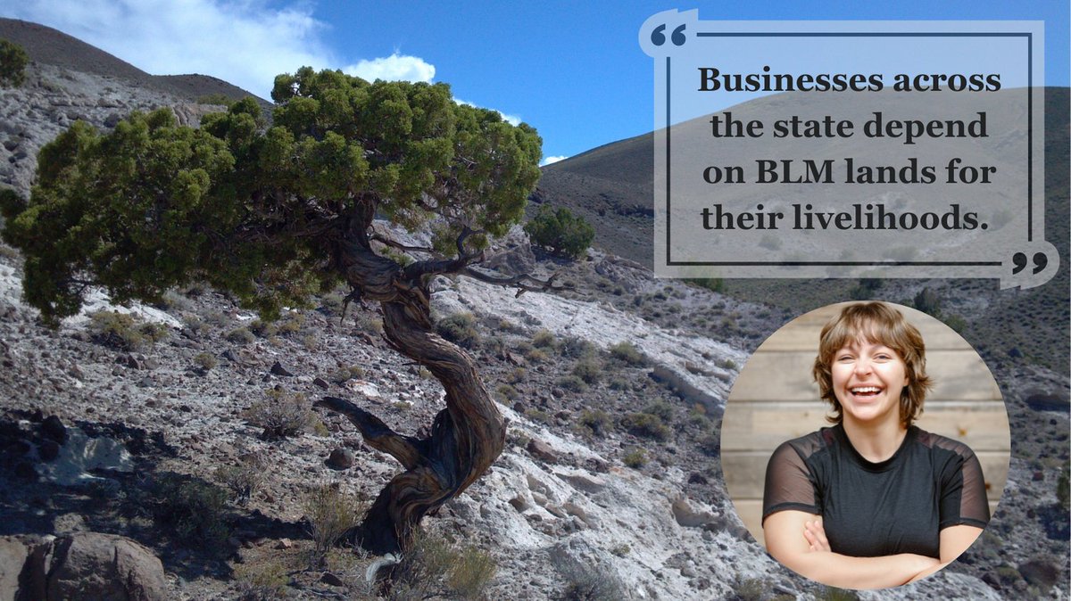 "Thanks to the Public Lands Rule, Nevada can continue to harness the economic advantages that come from outdoor recreation." -  <a href="/NevadaOBC/">NVOBC</a> executive director. <a href="/BLMNational/">Bureau of Land Management - National</a>  #ActNowforPublicLands  <a href="/SenJackyRosen/">Senator Jacky Rosen</a> <a href="/SenCortezMasto/">Senator Cortez Masto</a> lasvegassun.com/news/2024/may/…