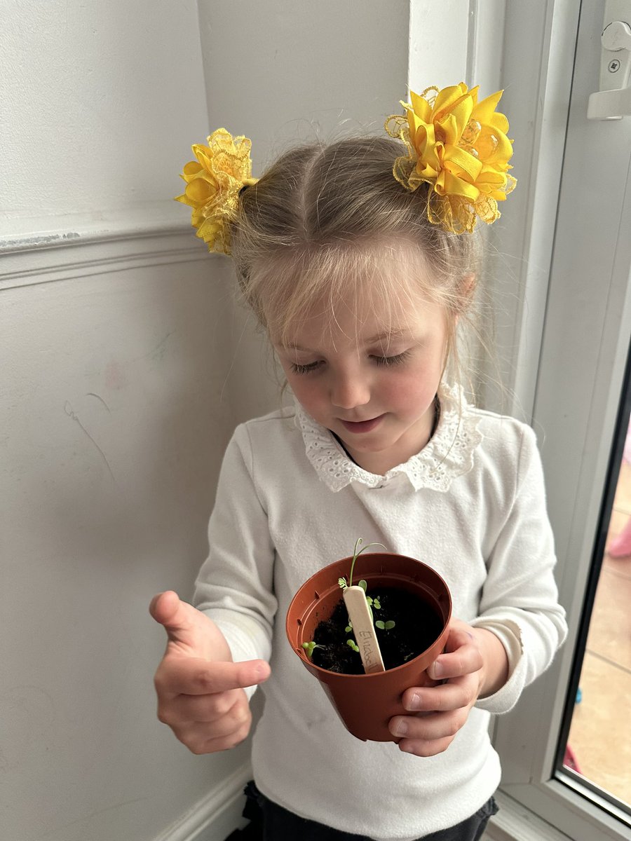 CPalaeva's tweet photo. @EYFS_Southfield Elizabeth is happy with her plant 🌱 coming to life.

Thanks to the team at the nursery) https://t.co/0Yx5TWBQ08