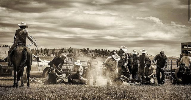 Branding season with the Sage to Saddle wranglers. Another vital tradition handed down in ranch country and an opportunity to get together after another long harsh winter! #nativeyouth #nativetwitter #sagetosaddle