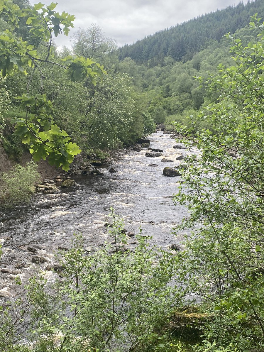 wanderingw_andy's tweet photo. A magical woodland and Bracklinn Falls. 

#visitscotland #waterfall https://t.co/8iMwnzqKk3