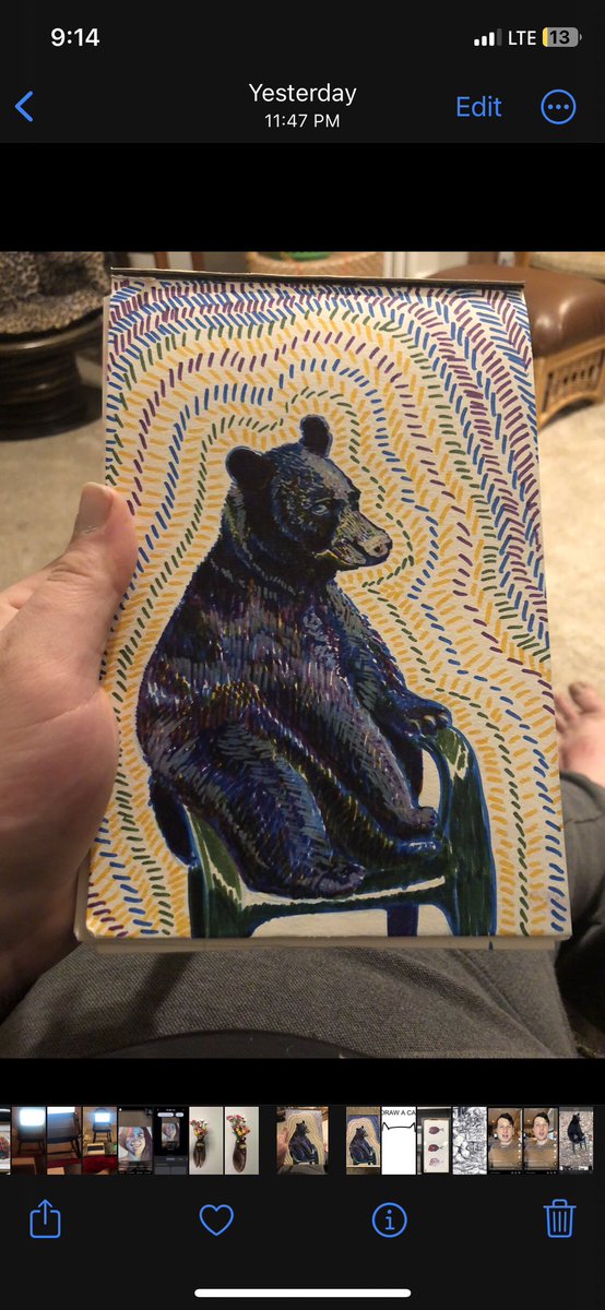 Turtle_Approved's tweet photo. Just posting some recent art stuff. #drawings #inkdrawing #raven #dog #bear #frog https://t.co/Wjk4686fU5