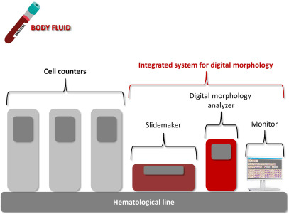 Opportunities and Drawbacks of Digitalized Morphologic Analysis of Body Fluids dlvr.it/T7Jj5V #ClinLabMed #LabMedX