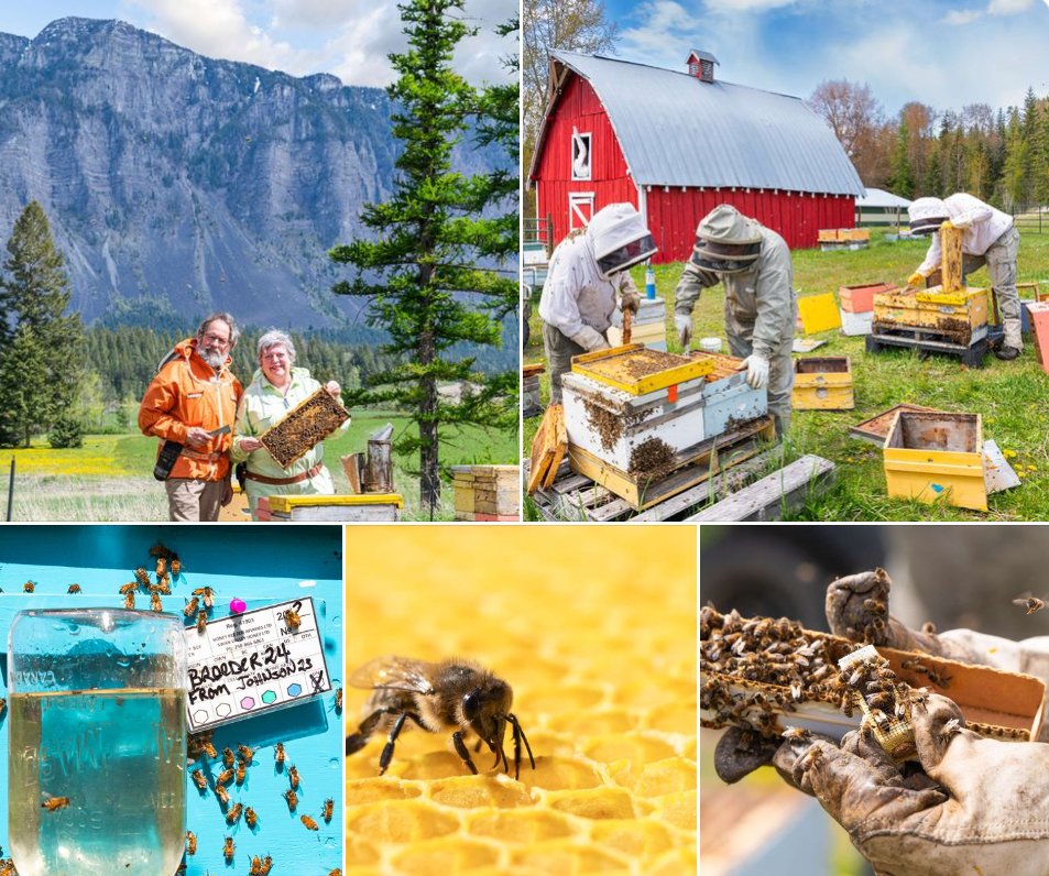 Our friends, Amanda and Jeff of <a href="/honeybeezen/">Honey Bee Zen Apiaries Ltd.</a> continue to perfect their craft, educate and inspire others, and receive accolades from colleagues and counterparts near and far. Bee sure to give this story a read: ow.ly/v7Po50RRnmE