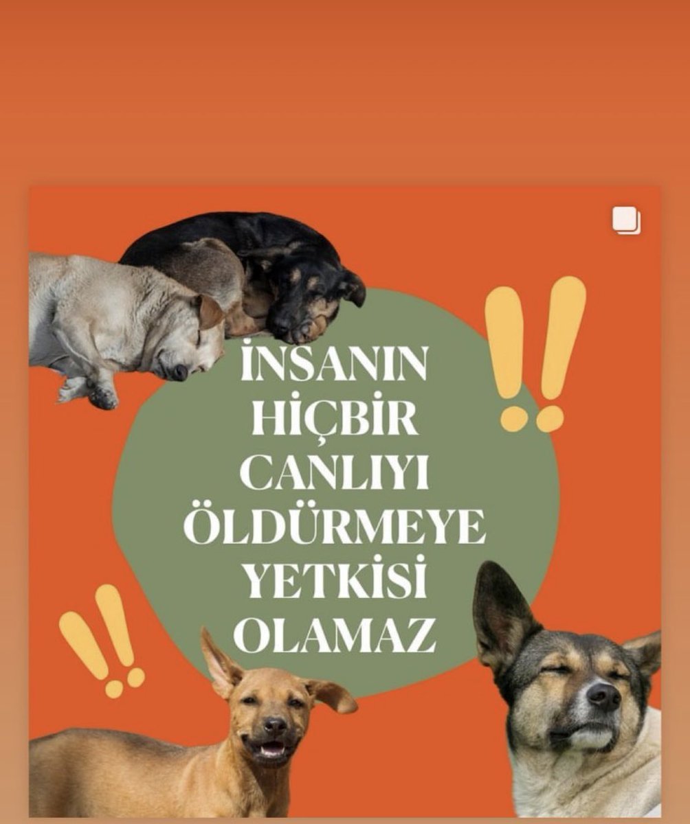 #HayvanKatliamıİstemiyoruz