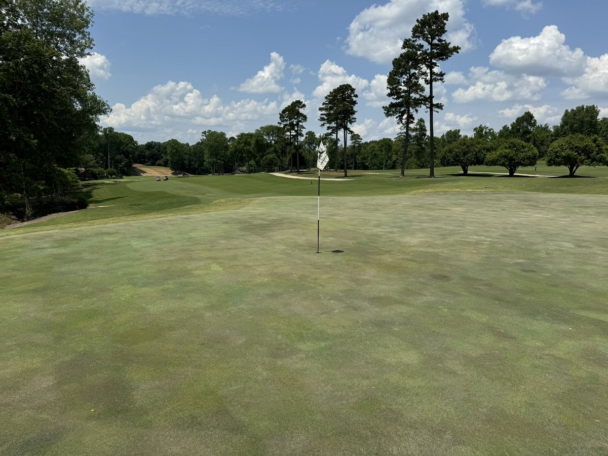 DMcRorie's tweet photo. More L36 sod hitting the ground today @ClayCGCS and the L93 is looking a little unhappy 😳 The GCM Team has absolutely crushed it this week. On to Friday!! @AspenGolf @invitedclubs https://t.co/rlYdeF8UoX