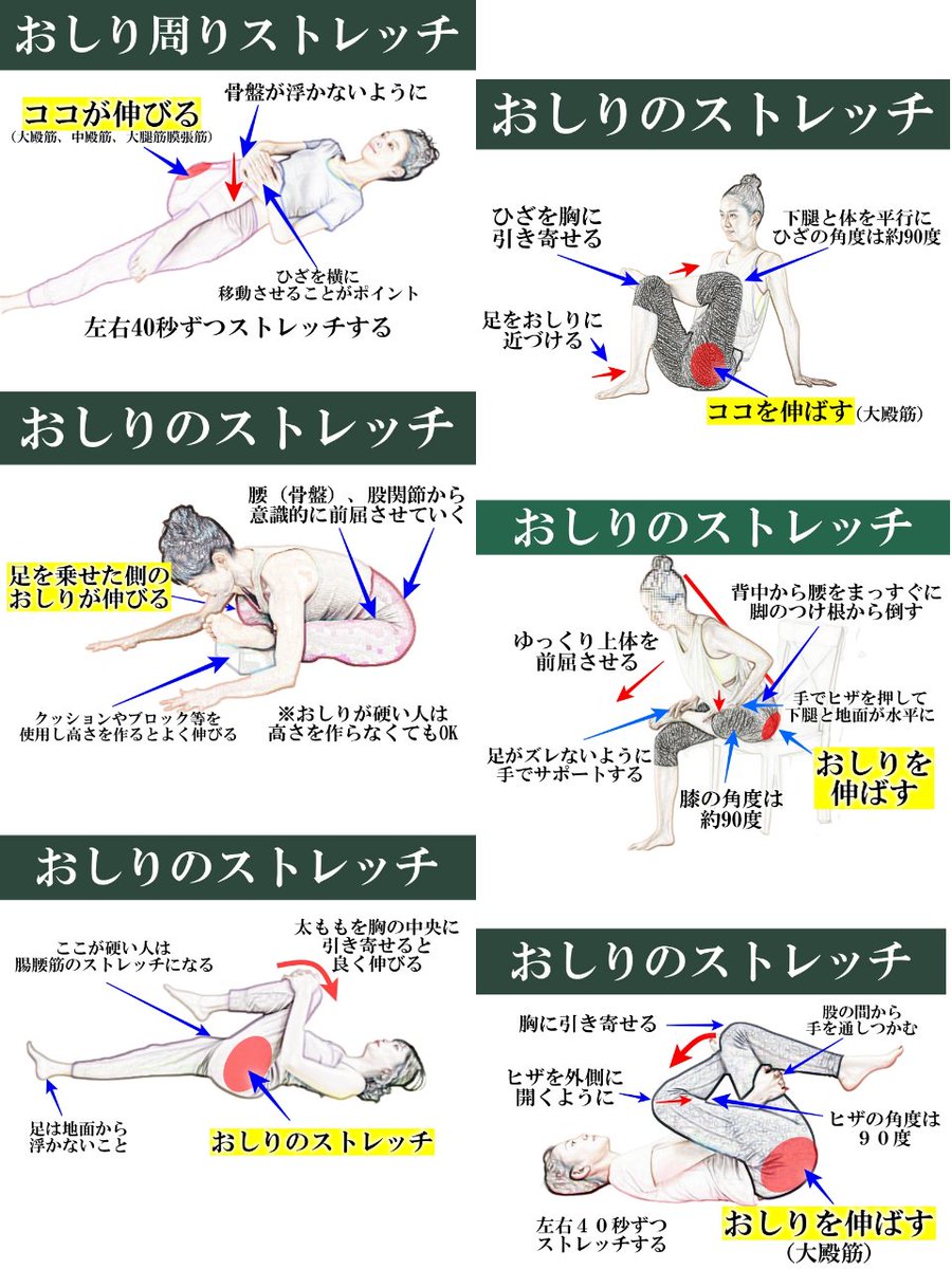 topi3001's tweet photo. 超超超超重要！おしりの筋肉は、腰や骨盤まわりに影響があります。腰の痛み、ギックリ腰の原因になることが多い。柔軟性の左右差があることに、多くの人は気づいていません。アンバランスな筋肉は、腰痛だけでなく、「ヘルニア」「猫背」「巻き肩」「肩こり」「首こり」「偏頭痛」「４０肩」「座骨神経痛」「慢性疲労」になりやすくなる。様々な角度から伸ばすことが大切です。効果を引き出す柔らかくなる秘訣とは…
