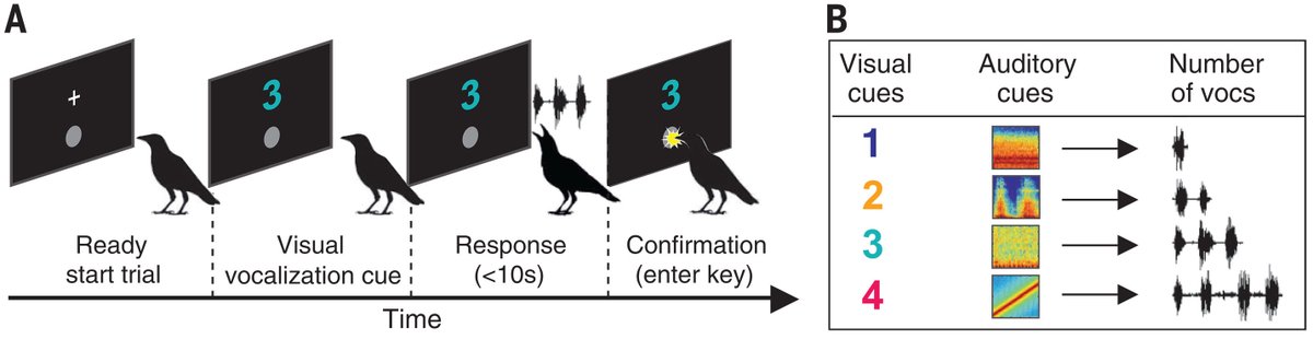 Science Magazine tweet media