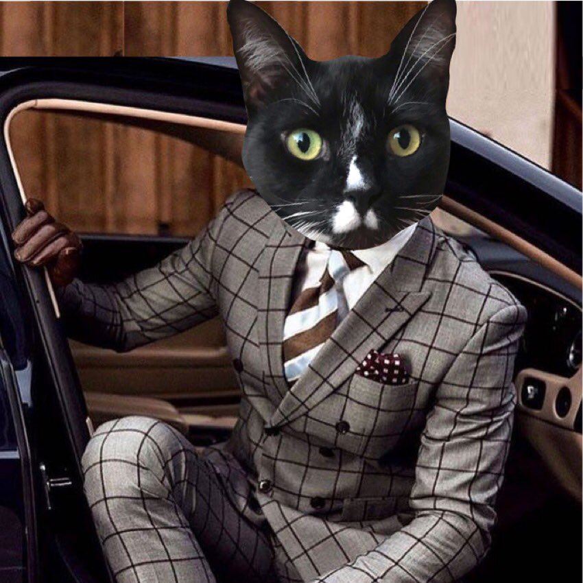 I be your Meowtender now at #nipclub for da next hour nipclub.blogspot.com/p/noms.html What you like to order ? #CatsofTwitter #Anipals #DogsofTwitter #Stuffies