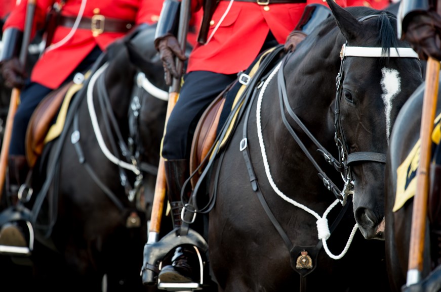 Find out more about becoming an RCMP Officer at our Career Presentation in Ottawa, June 4th! Details below: rcmp-grc.gc.ca/even/en/e/11011 #Ontario #OntarioRCMP #RCMP ^SS