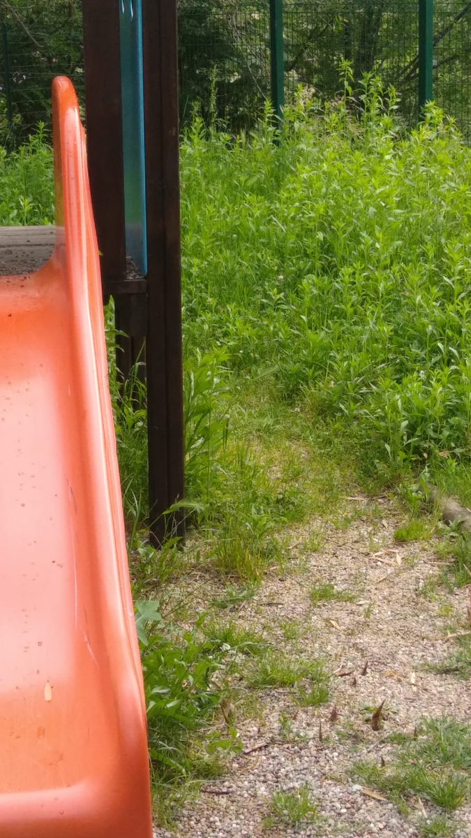 pfarsell's tweet photo. Un tempo, almeno in campagna elettorale, si curavano il decoro la funzionalità dell'arredo urbano... Oggi non si usa più.
Questa è l'area gioco bimbi a #Rivera proprio davanti alla scuola elementare.
Complimenti!!!!!!!
#almese merita di più https://t.co/q8qMai3k0h