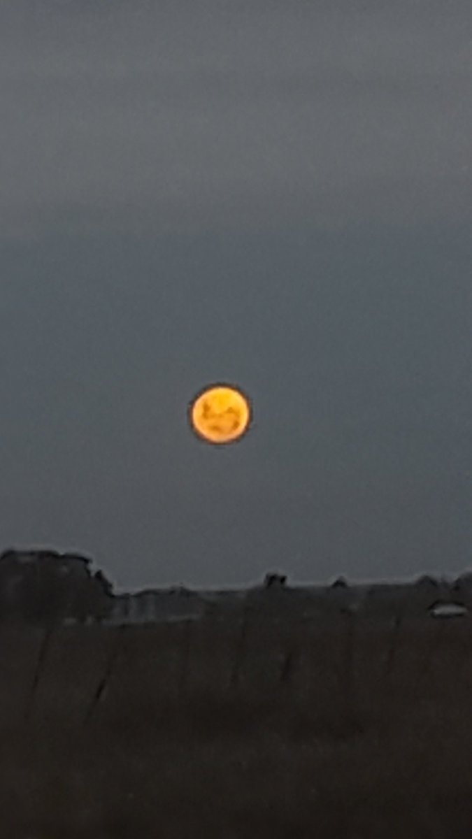 𝓛𝓾𝓲𝓼𝓲𝓷𝓪 tweet media