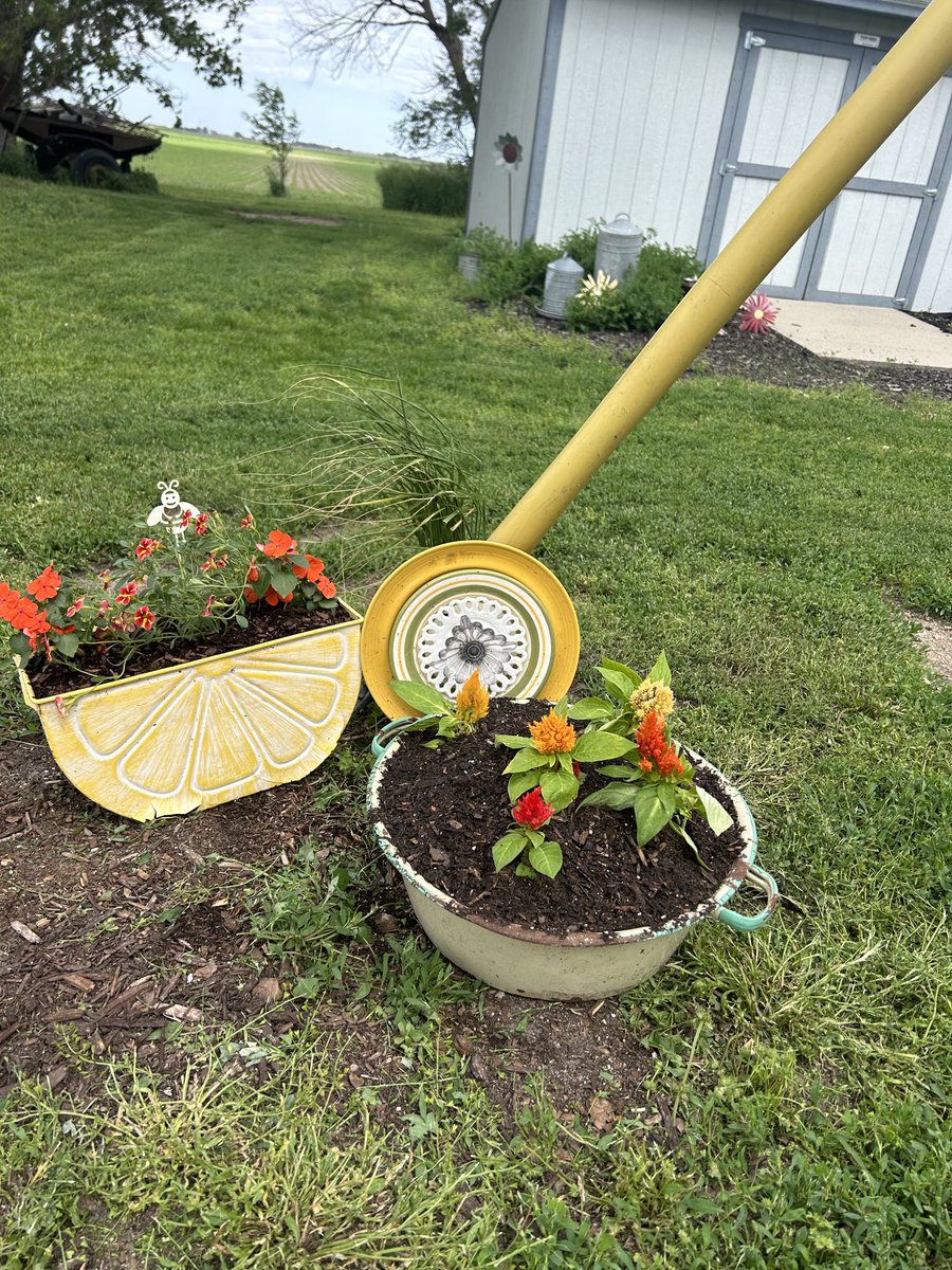 Jenise Straight tweet media