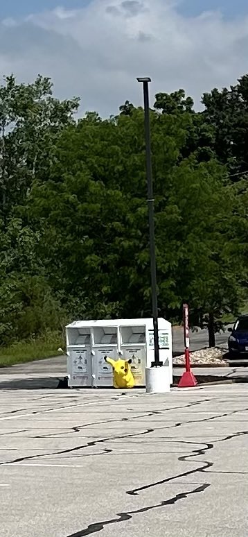 angelasiebum's tweet photo. Spotted in Schnucks parking lot (Butler Hill)..someone save him 🥹 https://t.co/KcDBtZpLPL