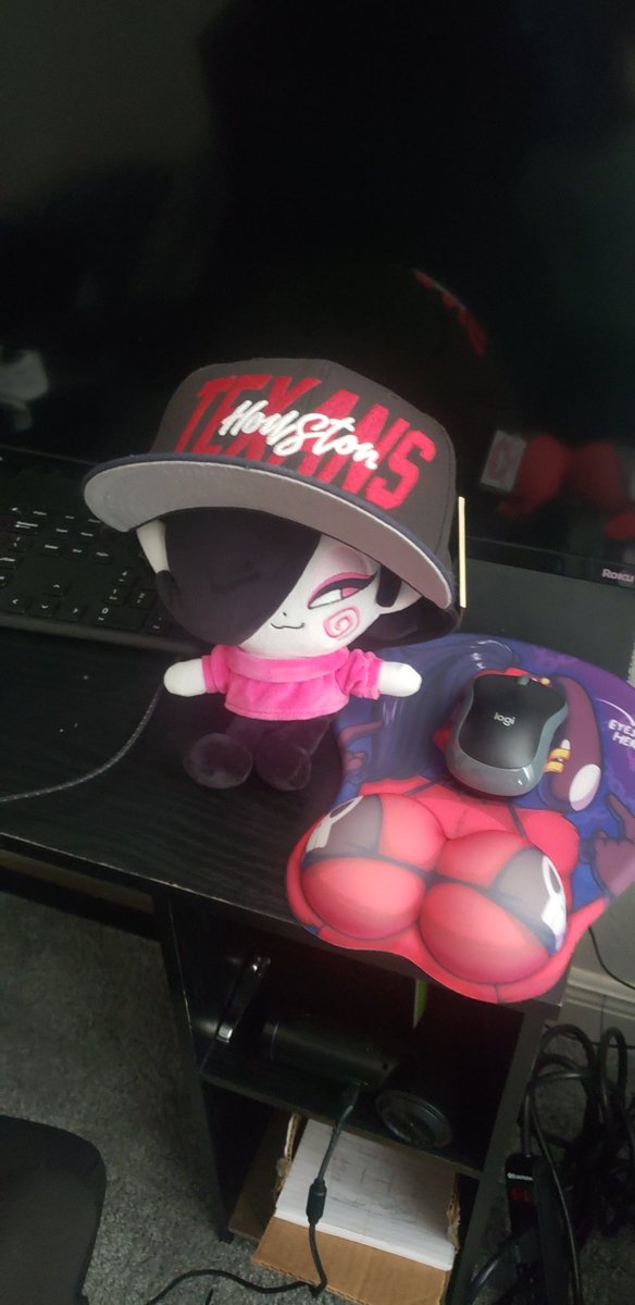 Well Amy stole my hat and tried to play on my setup. Btw it is so fucking awesome plush overall. I have a problem with plushies stealing my hats. @Jek_Korpen