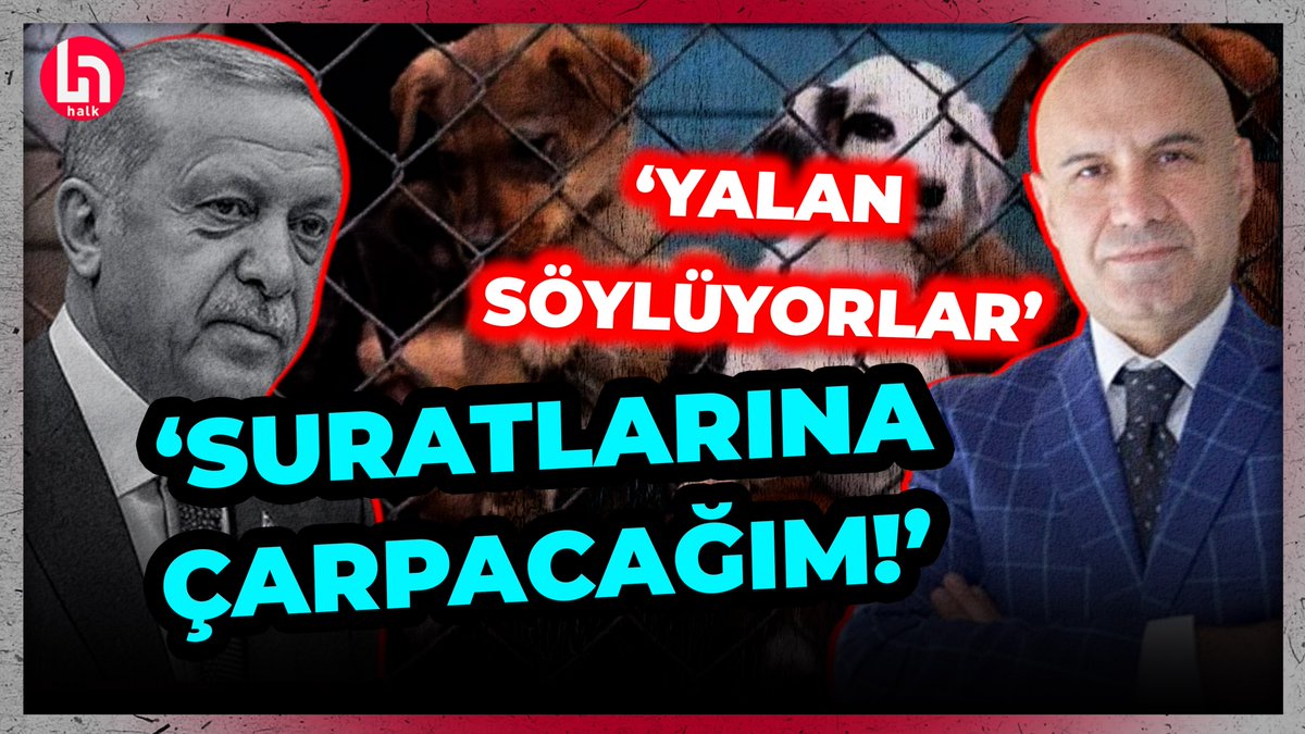 Erdoğan'ın 'Sokak Hayvanları' planına, Turhan Çömez'den (@ComezTurhan) flaş tepki! Bengü Şap Babaeker (@bengushap) ile #GündemÖzel youtu.be/u0n8mlkpfe0