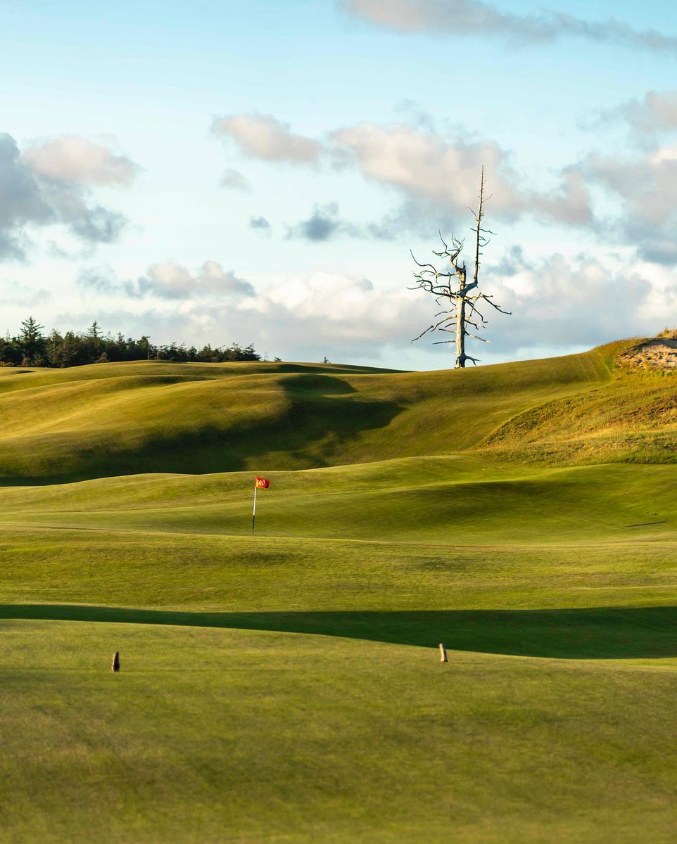 The look back at the third hole on Old Macdonald and the Ghost Tree 😍 #BestOfBandon 📸: @linkslandphoto (IG)