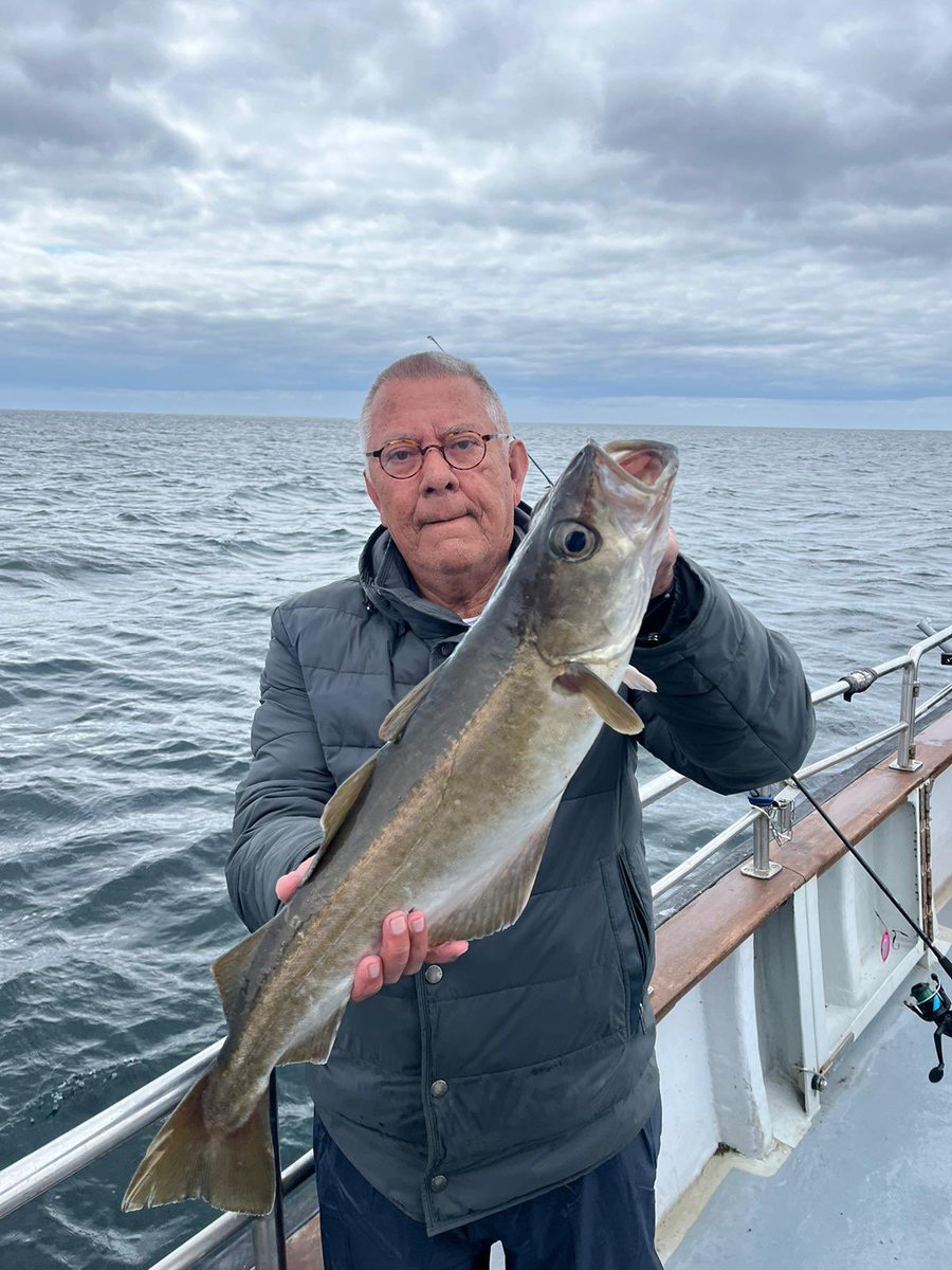 CourtmacAngling tweet media