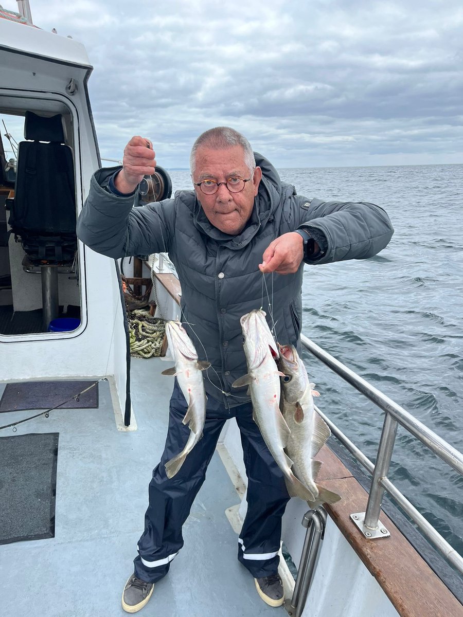 CourtmacAngling tweet media