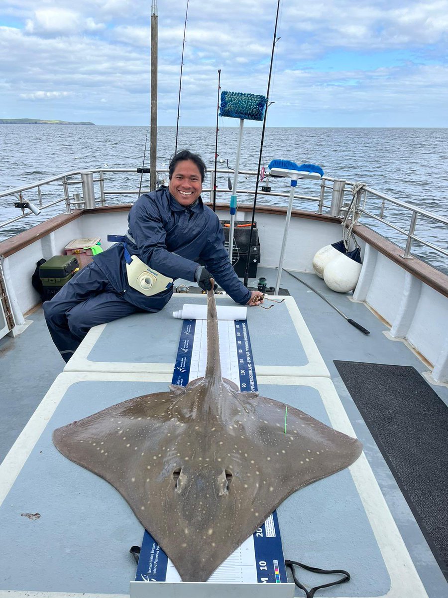 CourtmacAngling tweet media