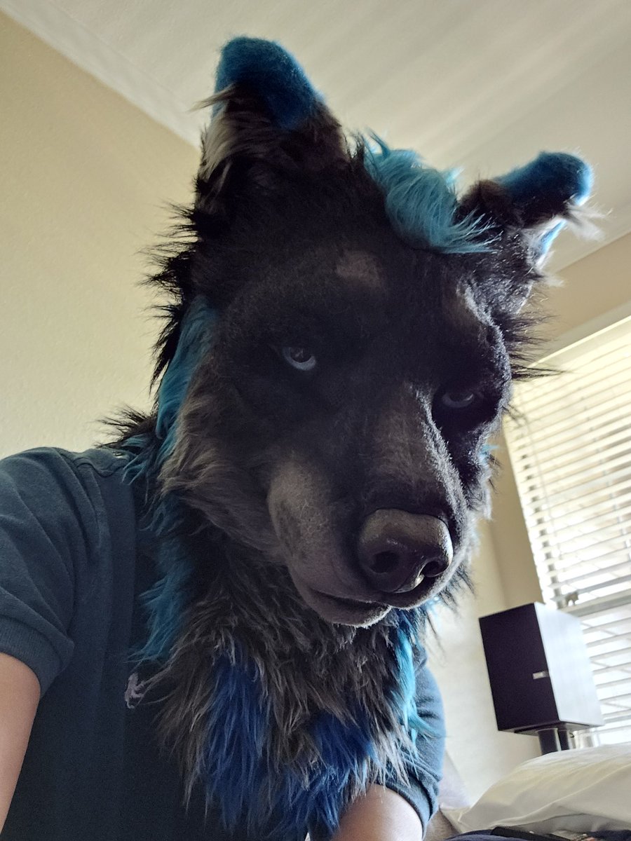 Am appearing on your Teams video call like this