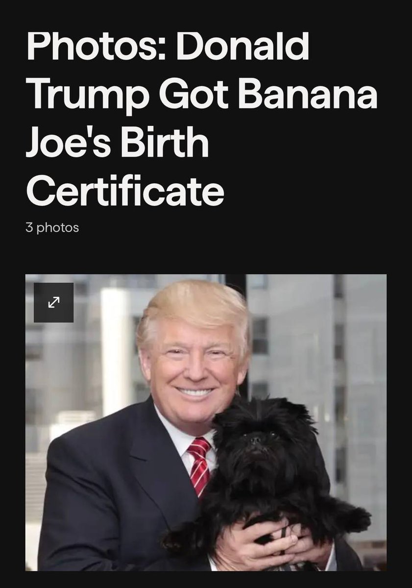 CryptoMoonSh0ts's tweet photo. Called by the Greatest @CryptoMoonShots_Chat

$JOE Banana Joe dog 🍌 - (ETH🔹)

Joe Biden always be tripping up the clumsy fool!

Nano cap, a chance to grab some tokens and the floor and build a strong community.

https://t.co/DlRy2zQcoA

https://t.co/0iofZJbyIr

https://t.co/WsKLgvPZKy

https://t.co/ZaV3mf54M5

✅All socials are safu and verified. 

📌Ca: 0xa74e202294dcbe06431e60921951eee5054cb594