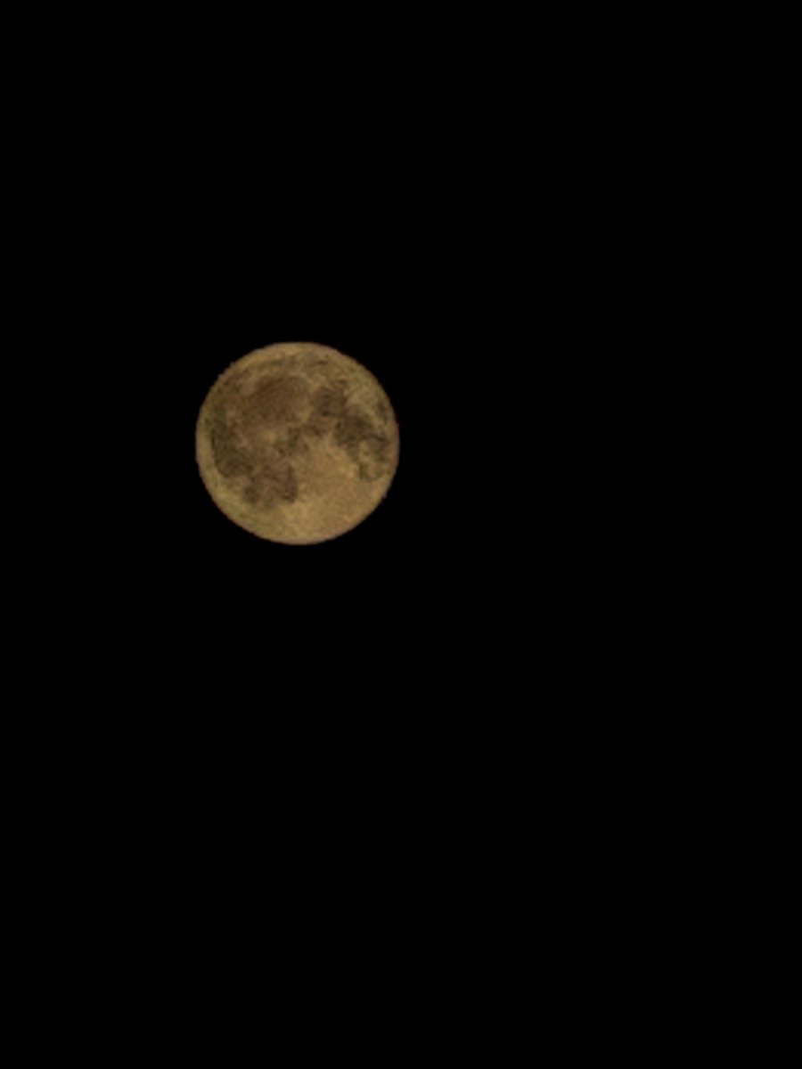 The beauty, the moon