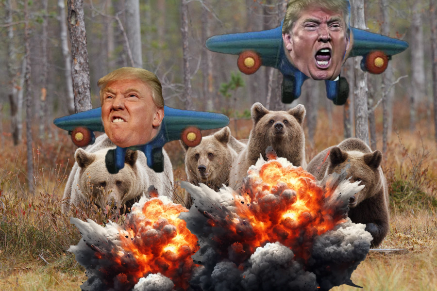 @penguin_curator hsbaf! #trump737 <a href="/trump737sol/">trump737</a>