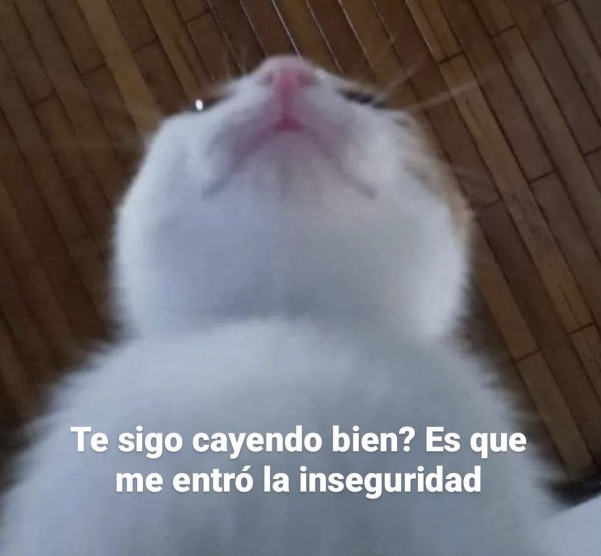 skereunpesado's tweet photo. https://t.co/l4uaNG6yAy
