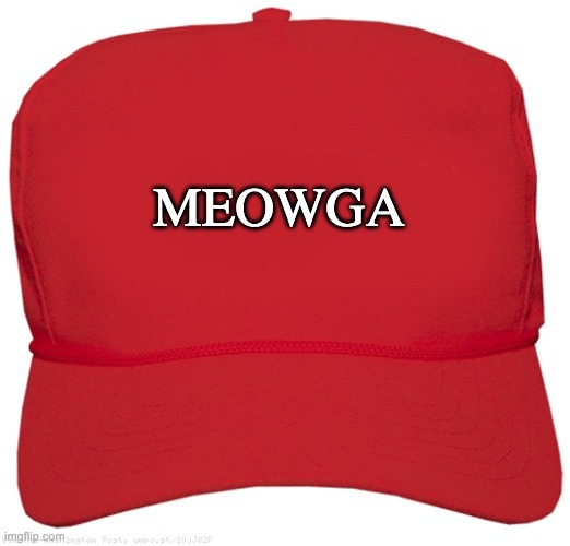 MagaCatFun's tweet photo. $MAGACAT https://t.co/4y3rqN8U1A
