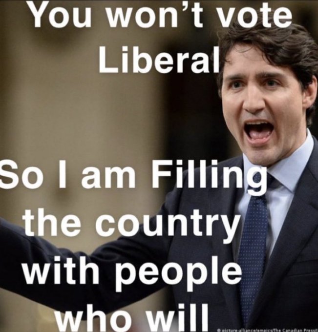 BryceWadeBEO's tweet photo. #Cdnpoli #trudeauing #trudeauisawacko https://t.co/m5TgiHJlva