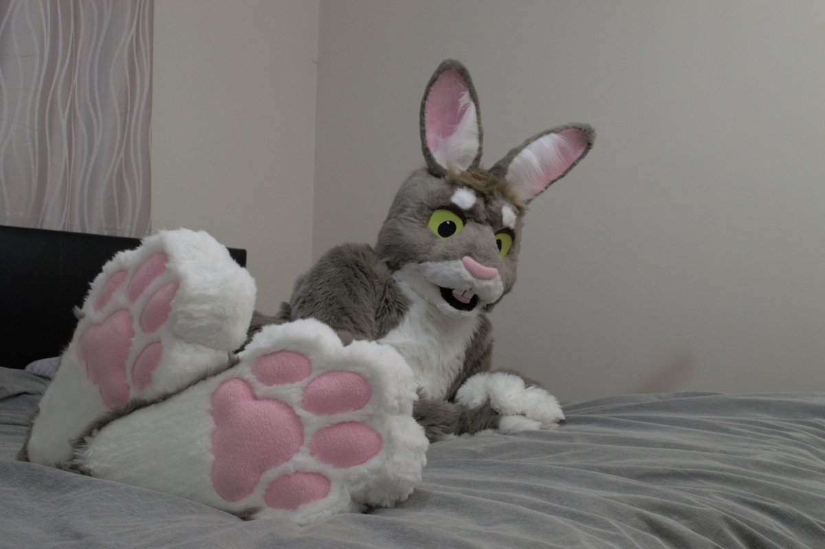 zaika_rabbit's tweet photo. Happy #fursuitfriday :3

(Photos with help from @KalTheDingo) https://t.co/fpxKzwUmEZ